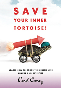 Save Your Inner Tortoise book